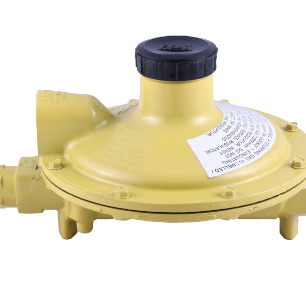 Low Pressure Regulator -38Kg/h - Rego USA