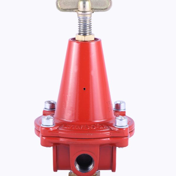 High Pressure Regulator 18Kg/h -  Turkey